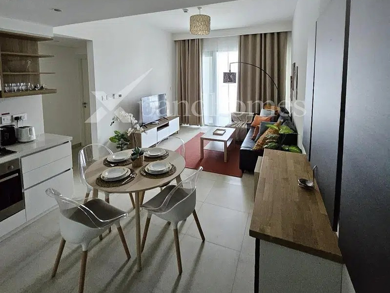 Furnished 1BHK | 12 Cheques | Zabeel View
